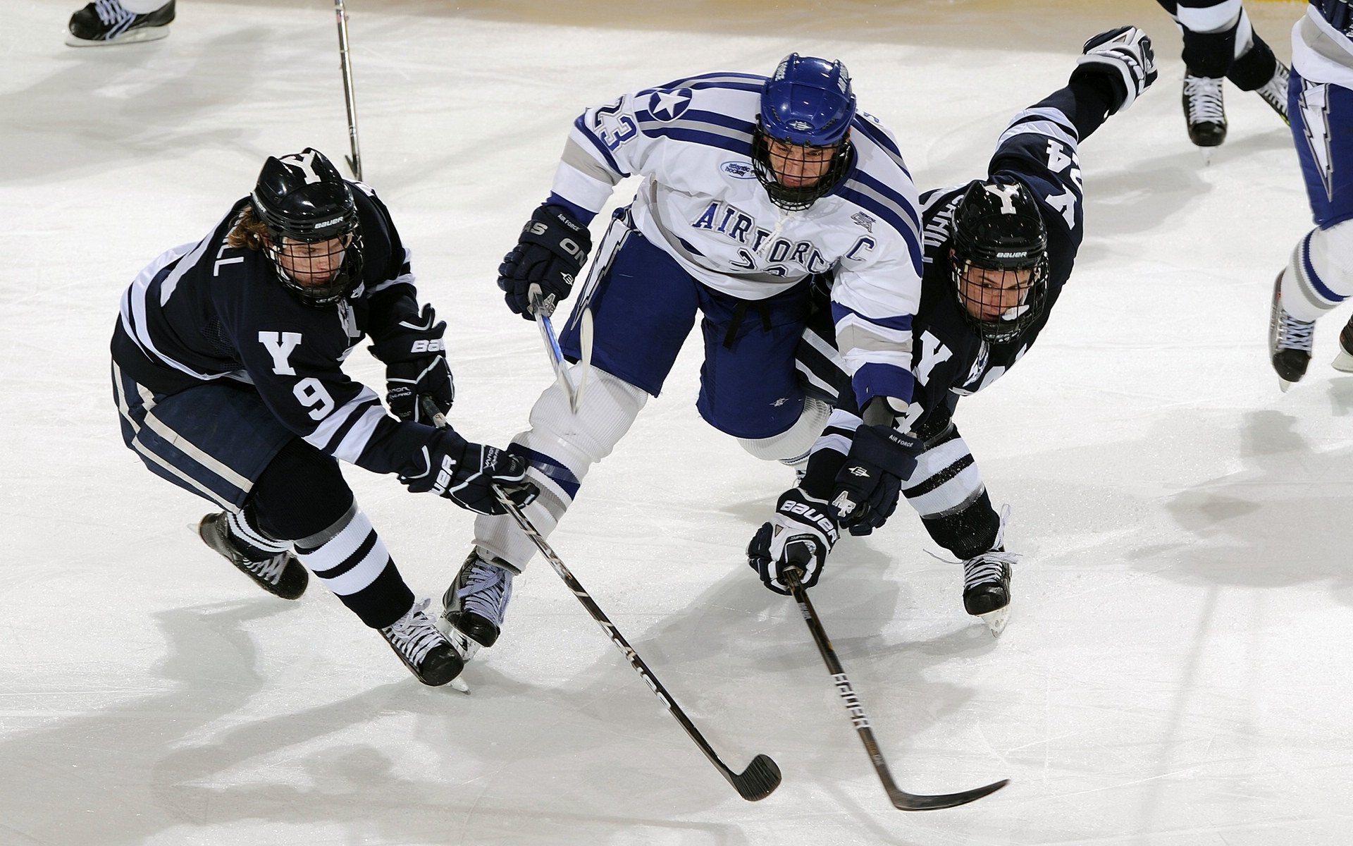 “中国女足在国际赛场屡创佳绩，实力不断提升”，中国女足队员获国际足联